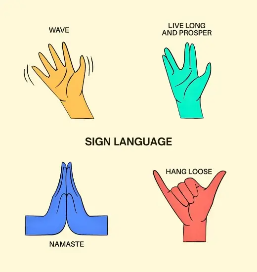 Sign Language Recognition